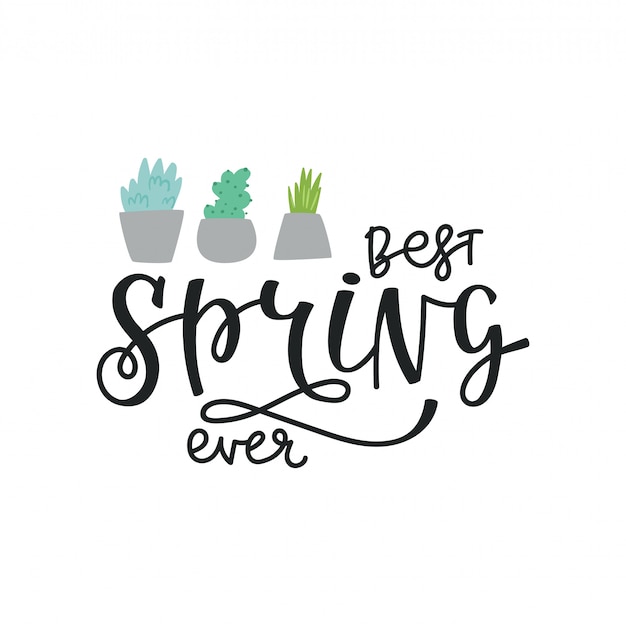 Vector illustration, lettering spring