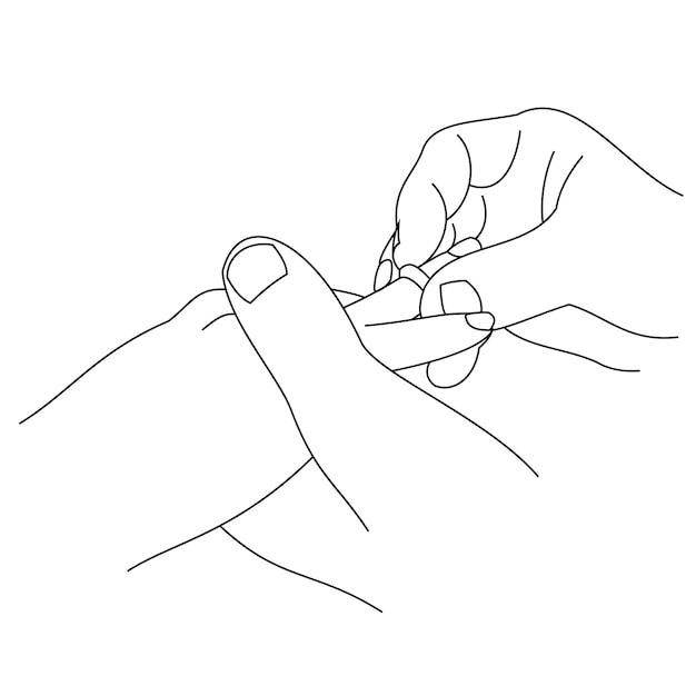 Illustration of line drawing a closeup of hands exchanging wedding rings Wedding couple hands