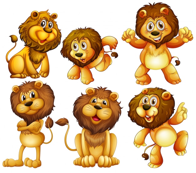 Illustration of lion set