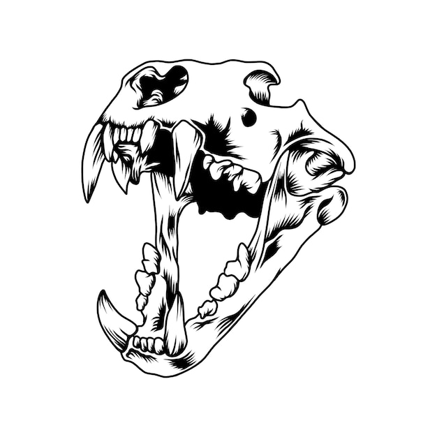 Vector illustration of lion skull head