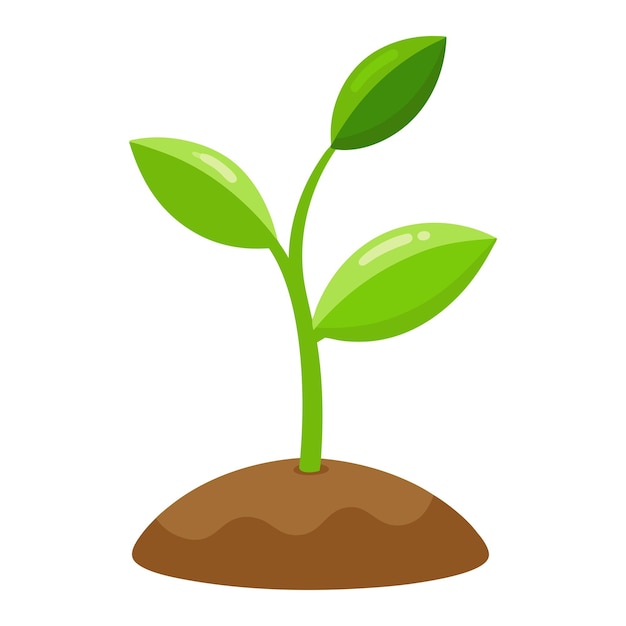 illustration of a little plant seedling