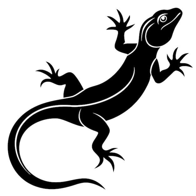 illustration of a lizard