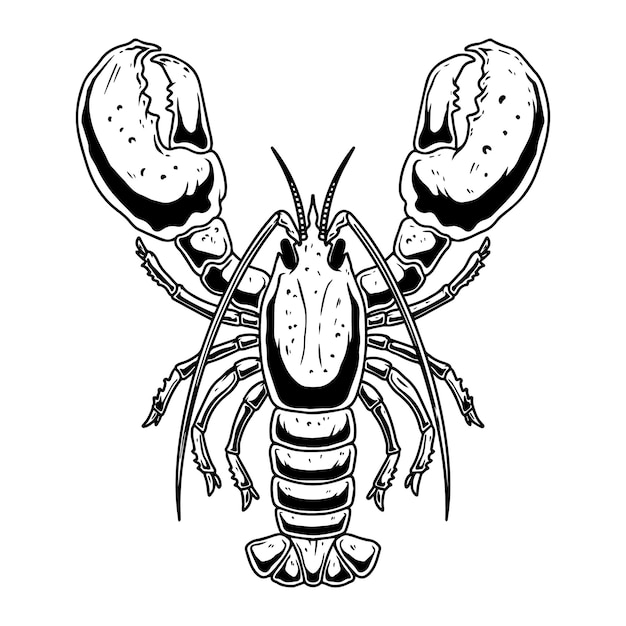 Vector illustration of lobster in engraving style on white background design element for logo label emblem sign vector illustration