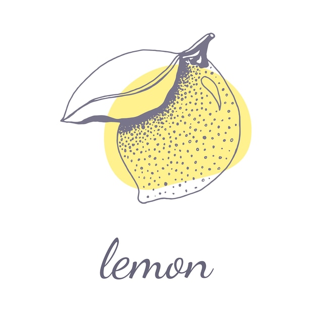 Иллюстрационный логотип цитрусовых лимонных фруктов.