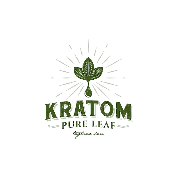 Illustration logo of vintage kratom leaf, kratom business logo