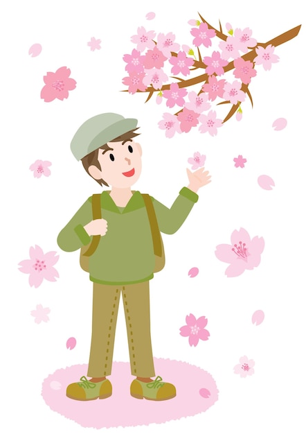 Illustration of the man doing cherry blossom viewing in spring