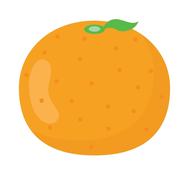 An Illustration of a mandarin orange