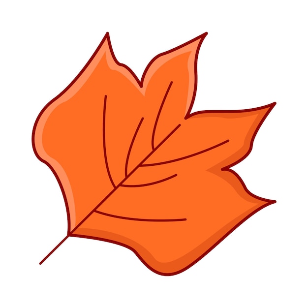 Vector illustration of maple