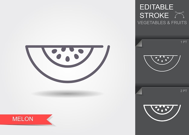 Illustration of melon line icon with shadow outline icon with editable stroke