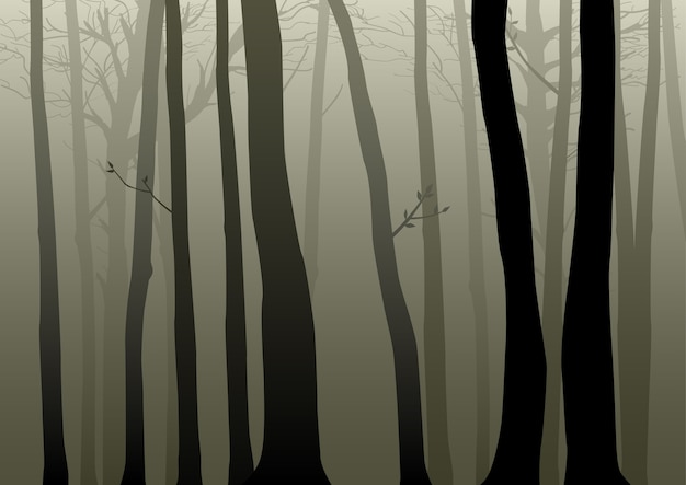 Vector illustration of misty woods