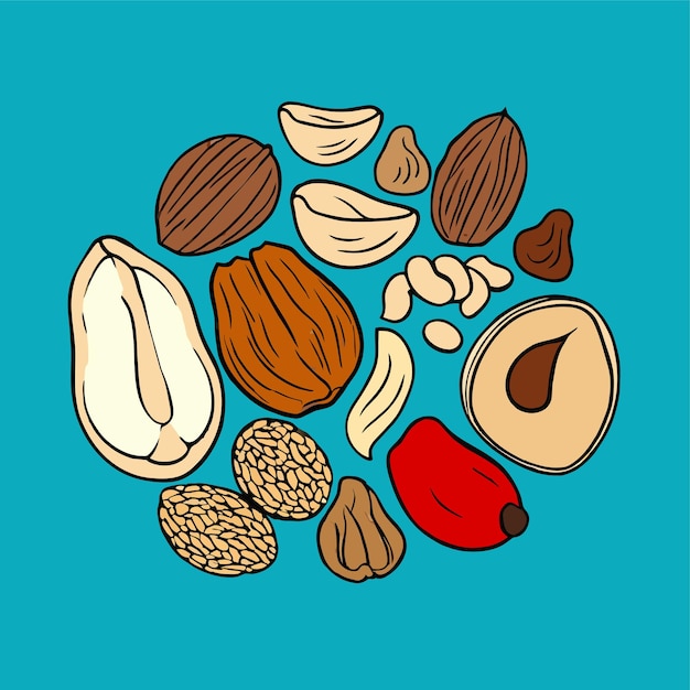 Vector illustration mix of different types nuts