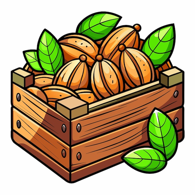 Vector illustration mix of different types nuts