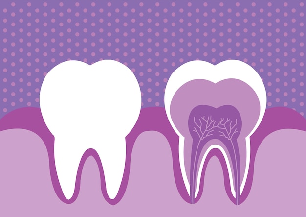 Illustration of modern color tooth
