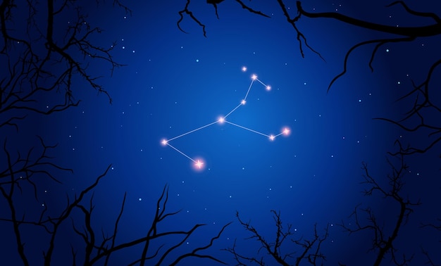 그림 Monoceros 별자리, 나뭇가지, 진한 파란색 별이 빛나는 하늘