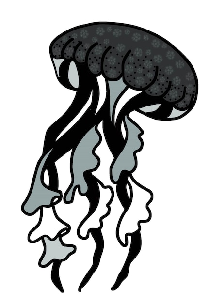 Vector illustration of monochrome black and white jellyfish with wavy tentacles.