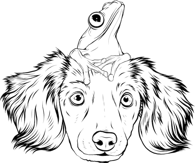 Illustrazione di cartone animato monocromatico di cane e rana