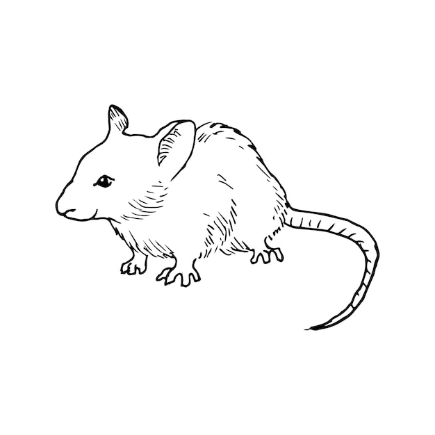 Vector illustration in mouse art ink style