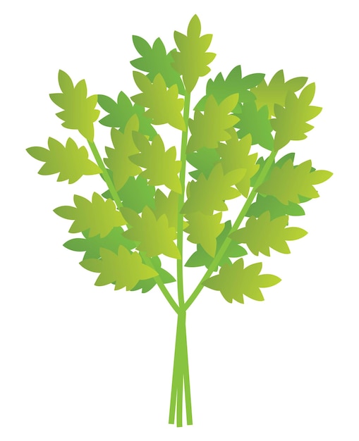 Vector an illustration of the mugwort