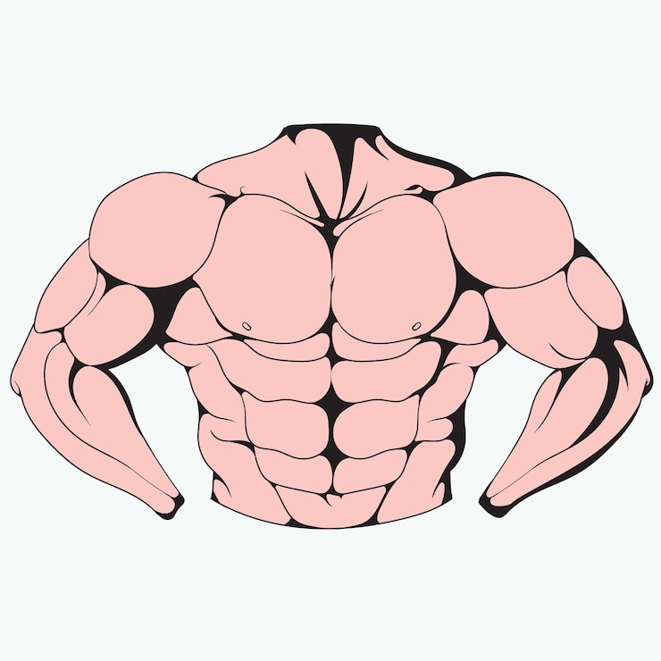 Vector 筋肉の強いボディビルダーのイラスト