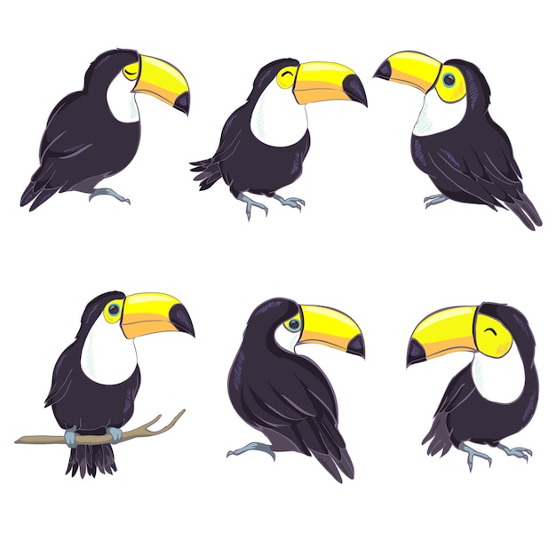 An illustration of a nice toucan in  format. A cute toucan bird image for kid's education and fun in nursery and schools, and decoration purposes. Jungle animals collection