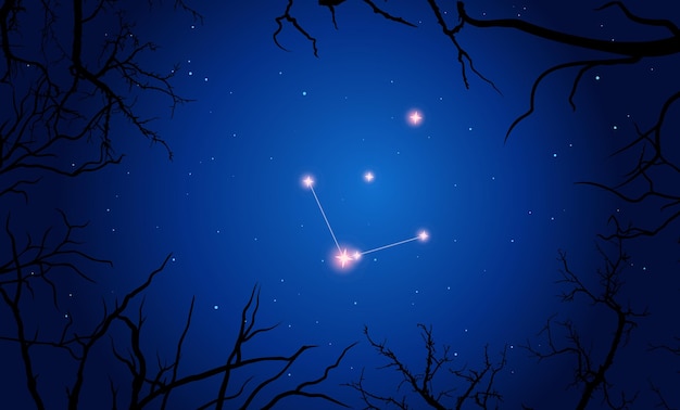 Иллюстрация Созвездие Норма, Ветки деревьев, темно-синее звездное небо