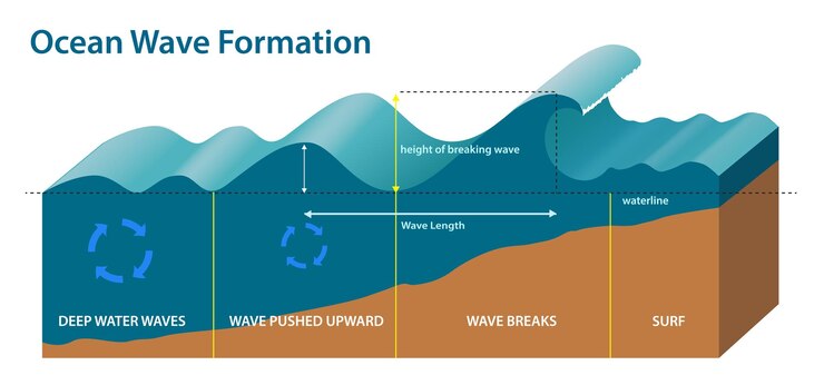 Vector illustration of ocean wave formation
