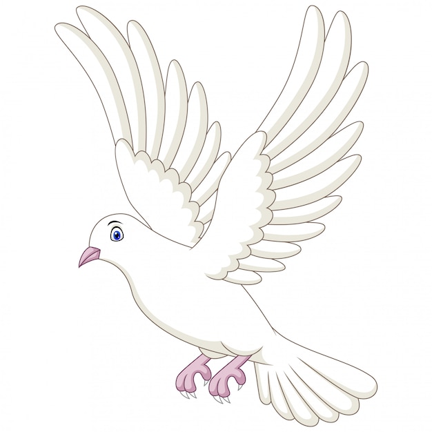 Вектор Иллюстрация мультяшного голубя на белом фоне