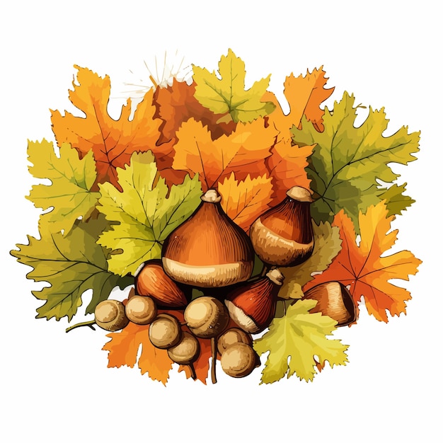 Illustration_of_acorns_autumn_leaves_and_ginkgo