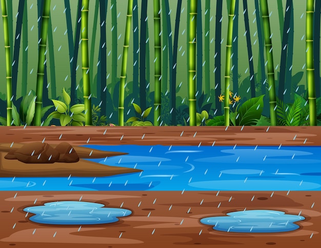 Иллюстрация бамбукового леса в сезон дождей