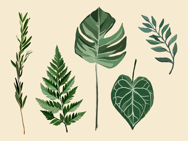 エキゾチックな植物、シダ、モンステラ、ローズマリーのイラスト