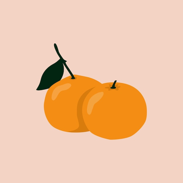 ベクトル 新鮮なオレンジ色の果物のイラスト