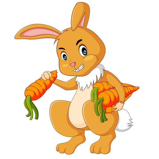 Зайчик морковь. Кролик с морковкой. Заяц с морковкой. Зайчик ест морковку. Заяц отрисовки.