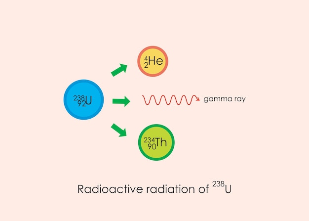 ベクトル 238uの放射性放射の図