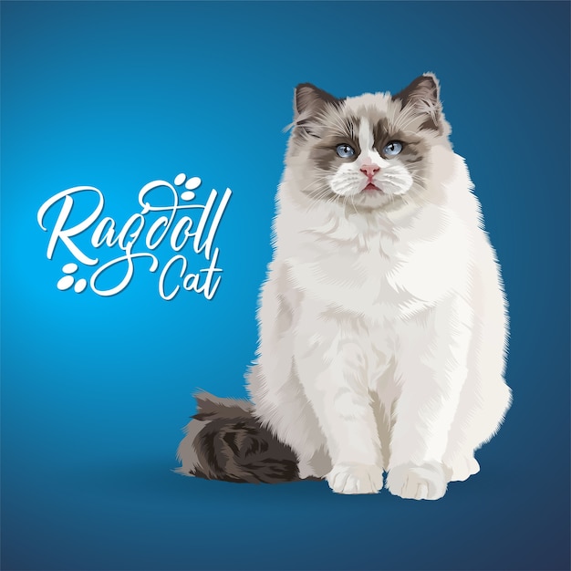 벡터 ragdoll 고양이의 그림입니다.