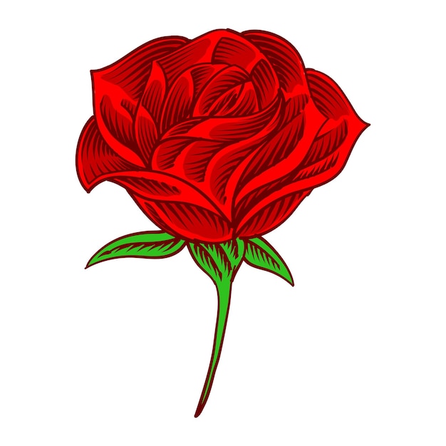 Вектор Иллюстрация стиля гравюры цветущей розы для элемента дизайна