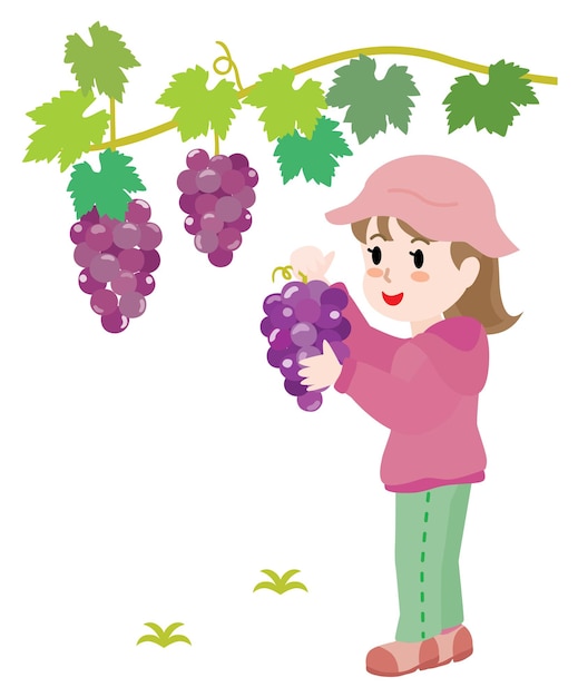 Иллюстрация девушки, собирающей виноград