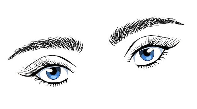 완벽한 모양의 눈썹과 풀 속눈썹을 가진 여성의 섹시한 고급스러운 눈의 삽화.