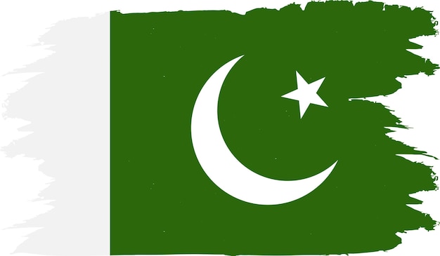 Illustration of the official national flag of Pakistan in vector form