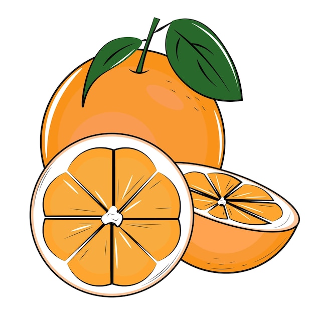 Illustration of orange fruit with leafs