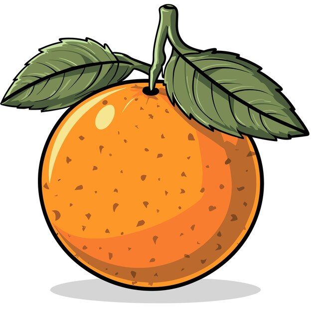 Vector illustration of orange fruit with leaves orange with leaves orange fruit vector illustration