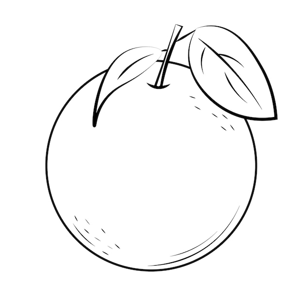 Illustration of an orange with a leaf