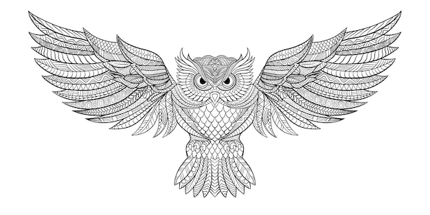 Illustration of owl vector