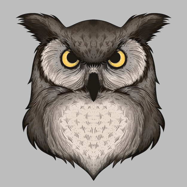 Vector illustration of owl vector