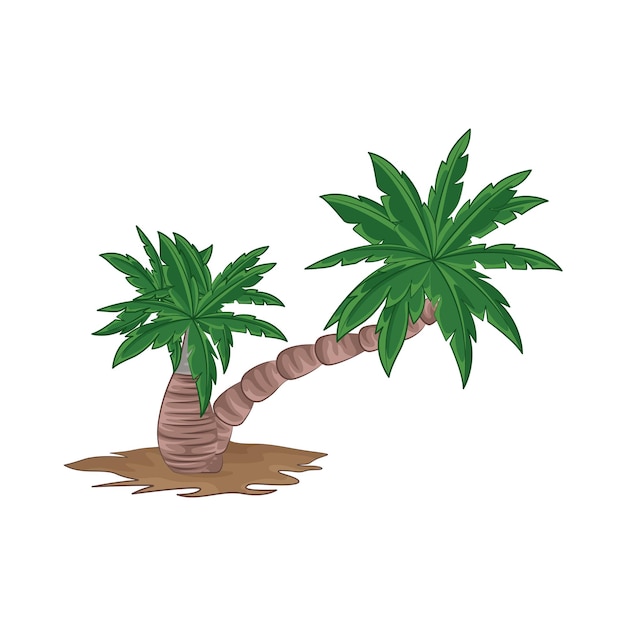 Illustration of palm