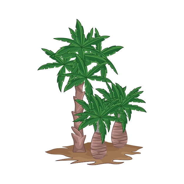 Illustration of palm