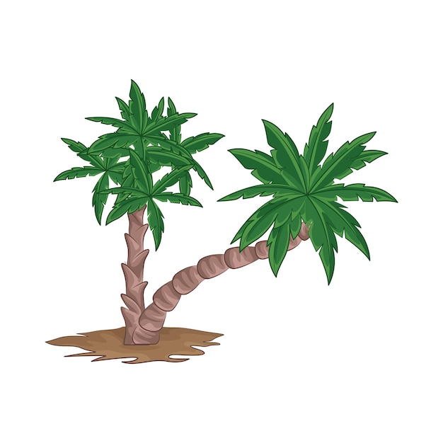 Illustration of palm