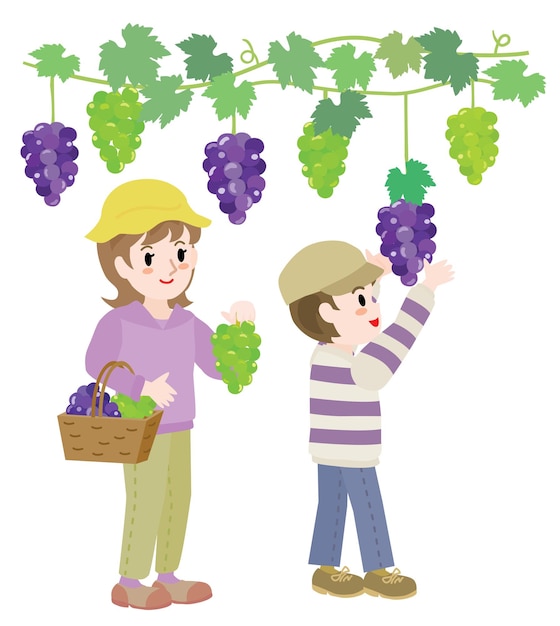 Vettore illustrazione del genitore e del bambino che fanno la raccolta dell'uva