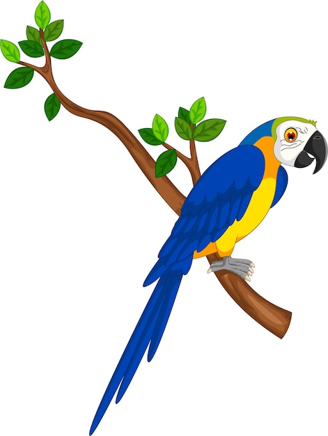 Vettore illustrazione del fumetto del pappagallo