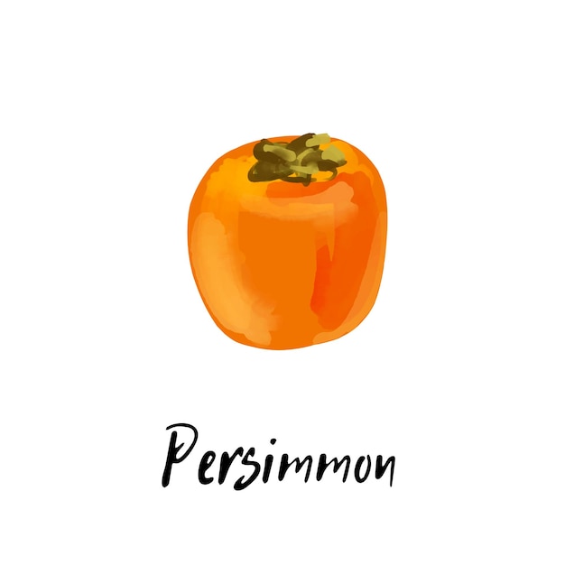 Illustration of a persimmon isolated on a white background