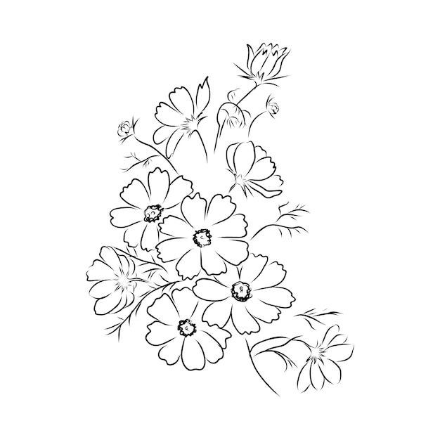 Illustration of petal arrangement of a flower